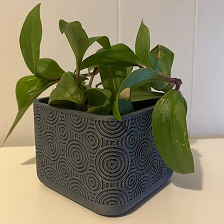 Gray spiral square 3D printed PLA planter with circular swirl texture and green leafy plant, modern geometric tabletop design by Plantale.