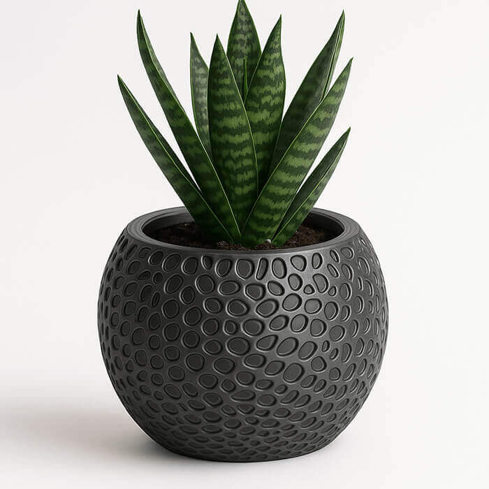 Modern black round textured 3D printed planter with green snake plant against white background.