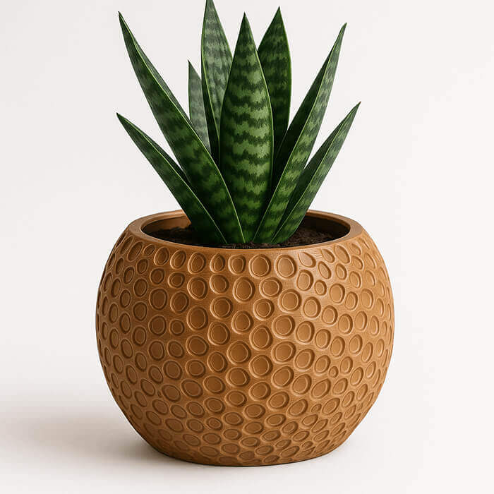 Modern terracotta round textured 3D printed planter with green indoor plant against white background.