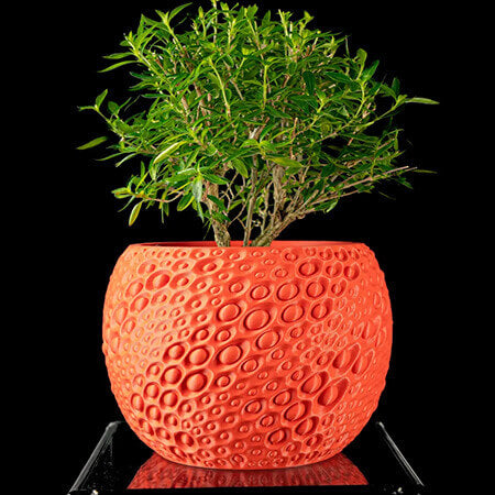 Red textured 3D printed PLA planter with circular bubble design, holding green bonsai plant, modern handcrafted style by Plantale.