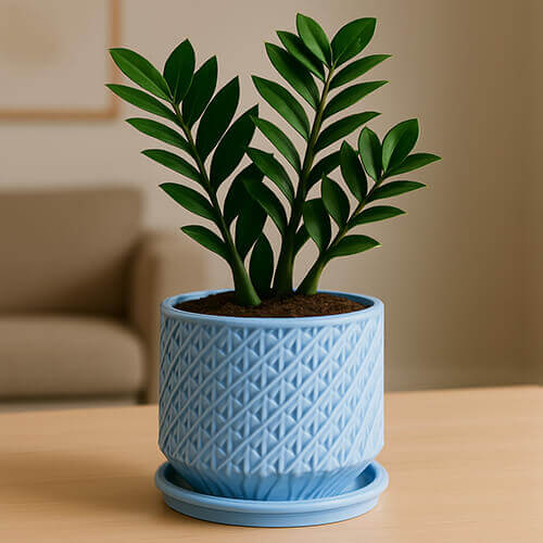 A light blue 3D-printed planter with a geometric spiral-weave texture, holding a ZZ plant, placed on a matching drainage tray in a softly lit modern living room.