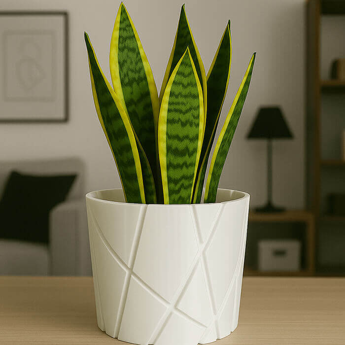 white-linework-3d-printed-pla-table-planter-plantale.jpg