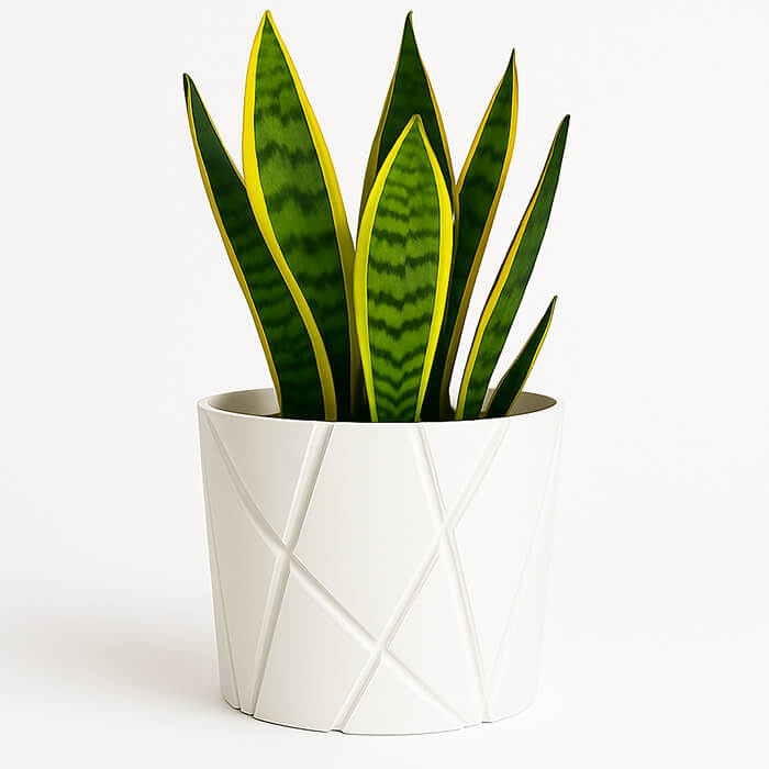 White linework 3D printed PLA planter with diagonal carved pattern, holding tall green snake plant, clean modern minimalist decor by Plantale.