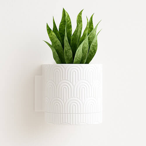White wall-mounted planter with an arc-patterned textured design, holding an upright green snake plant against a clean, minimal background.