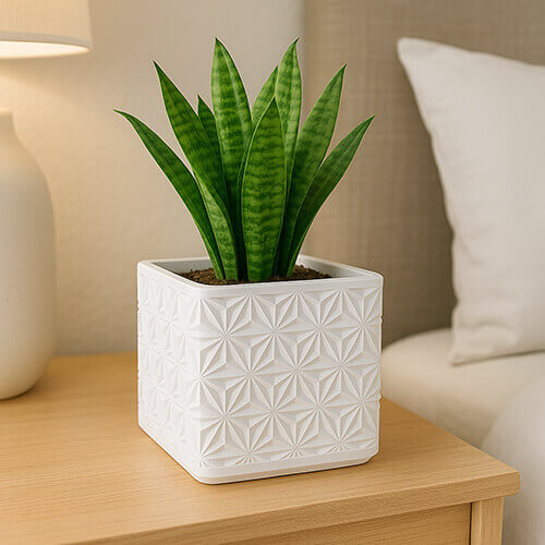 White Asanoha pattern square 3D printed self-watering planter with snake plant.