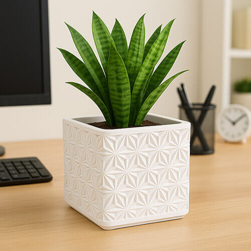 White square planter with an embossed Asanoha geometric pattern, holding a tall green snake plant, placed on a wooden desk in a modern workspace.