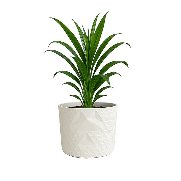 White endless triangle 3D printed PLA planter with geometric pyramid pattern, holding tall green indoor plant, modern minimalist design by Plantale.