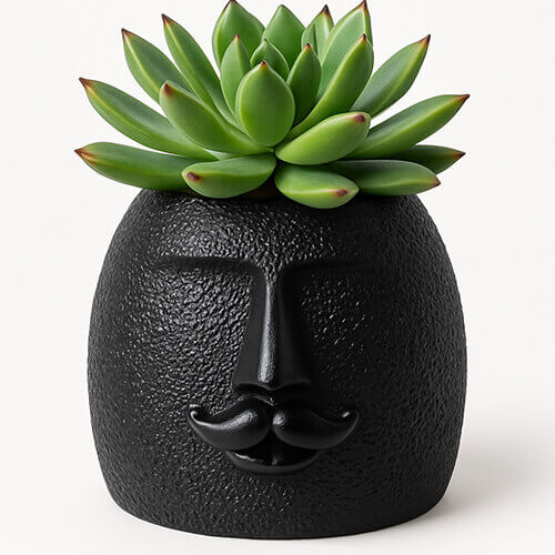 Black textured face-shaped 3D printed PLA planter with mustache and green succulent on white background.