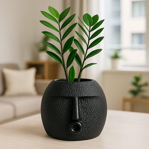 Black textured 3D-printed face planter with a round open-mouth design, holding a green ZZ plant, placed on a light wooden table in a modern living room.