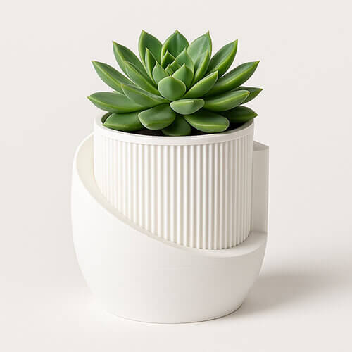 White Japandi-style curved 3D printed planter with ribbed inner pot and green succulent.
