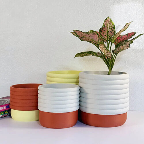 Collection of ribbed self-watering planters in white, terracotta, and pastel yellow tones, with one pot holding a variegated leafy plant, arranged on a white surface against a light wall.