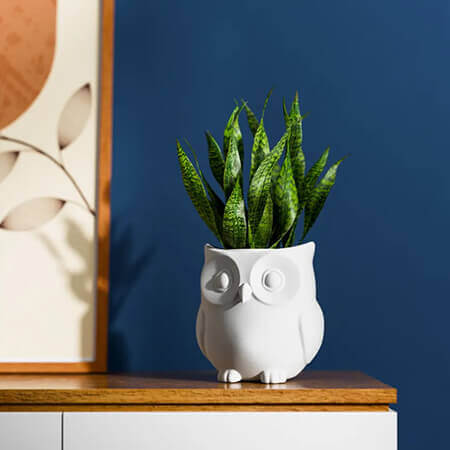 White owl 3D printed PLA planter with green snake plant, minimalist modern owl design placed on wooden cabinet, by Plantale.