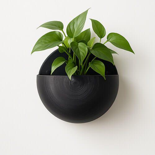Black round half-sphere 3D printed wall-mounted PLA planter with green plant on white background.