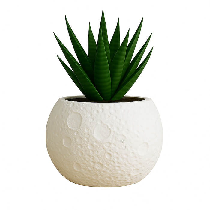 White moon surface 3D printed PLA planter with crater texture, holding green succulent plant, modern lunar-inspired design by Plantale.