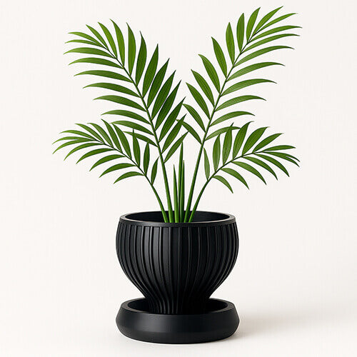 Black ribbed 3D printed PLA Yin planter with matching tray and palm plant on white background.